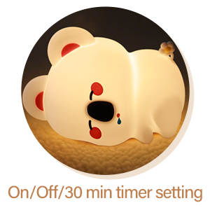 on/off/30min timer setting