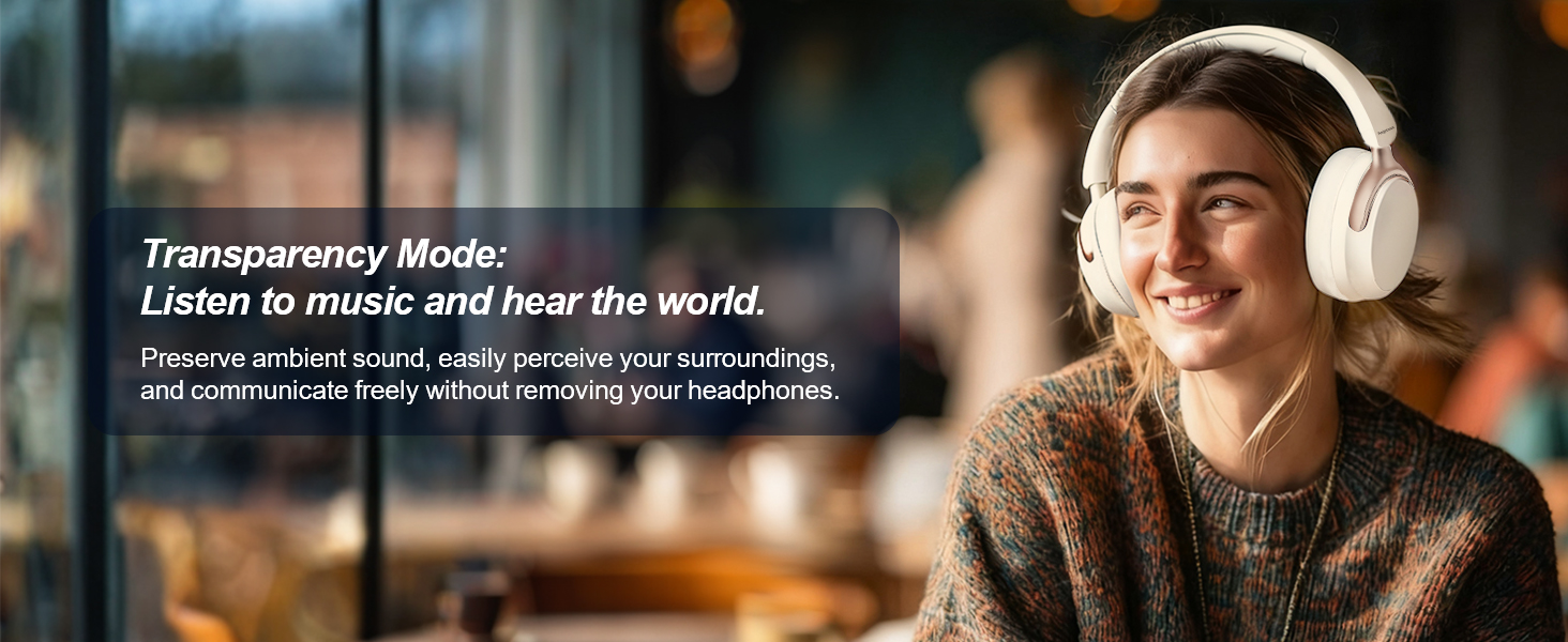 noise cancelling headphones with mic