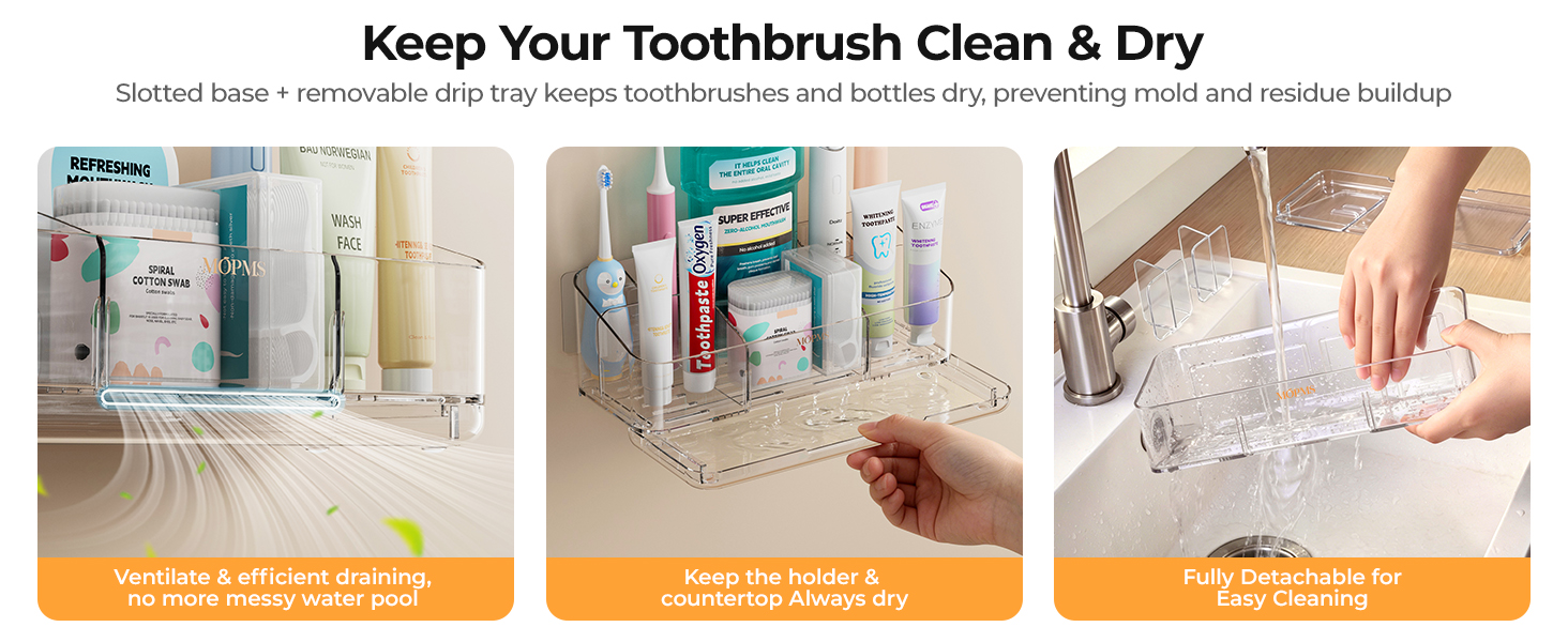 8 Slots Toothbrush Holders for Bathrooms