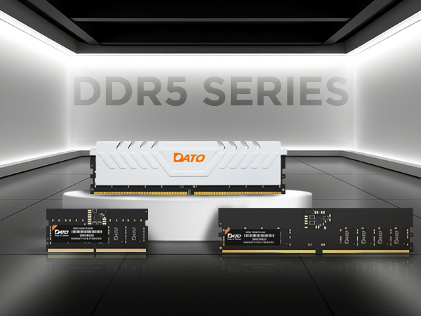 DDR5 heatsink udimm RGB gaming ssd desktop pc long dimm