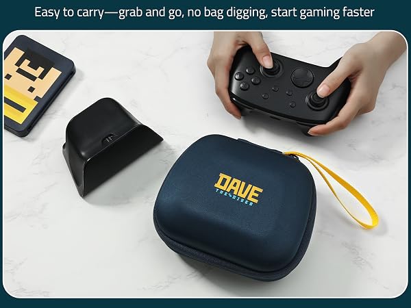 switch 2 pro controller case