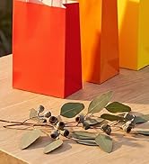 SUNCOLOR 24-Pack Rainbow Gift Bags with Handles, 8" Multi-Color Paper Party Favor Bags for Goodie...