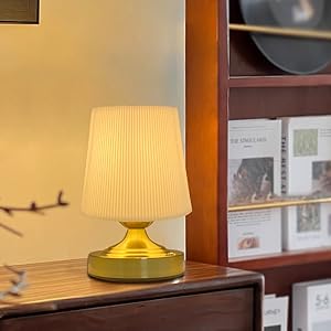 Cordless Rechargeable Fabric Table Lamps