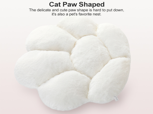 cat paw cushion