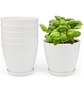 KINGLAKE 6 Pcs 5.5 inch Plastic Plant Nursery Pots for Plants with Saucers,Indoor White Flower Po...