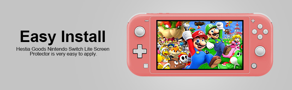 Nintendo switch lite case