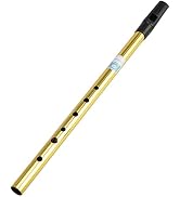 Sondery Irish Tin Whistle Key of D Made from Brass A Bright Brass Wind Type Sound Penny Whistle