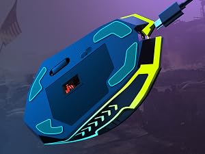 mouse