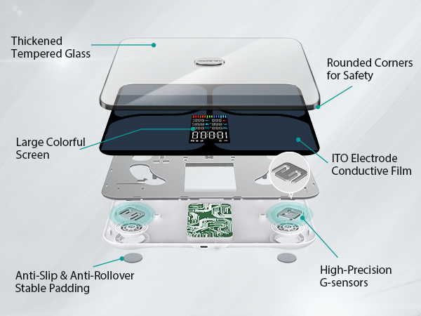smart body scale with body age