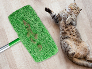 swiffer pads