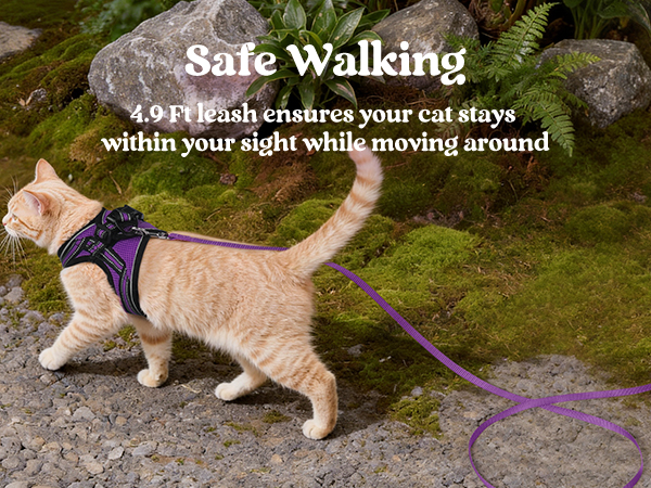 leash