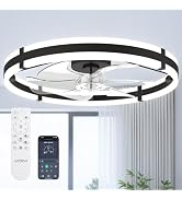 addlon 24'' Ceiling Fans with Lights and Remote, Low Profile Flush Mount Ceiling Fan with Light, ...