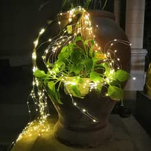 twinkle firefly lights