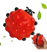 Anboor Pop Fidget Toy, 2 PCS Ladybug Squishies Sensory Bubble Popper Toys 3D Push Squeeze Balls S...