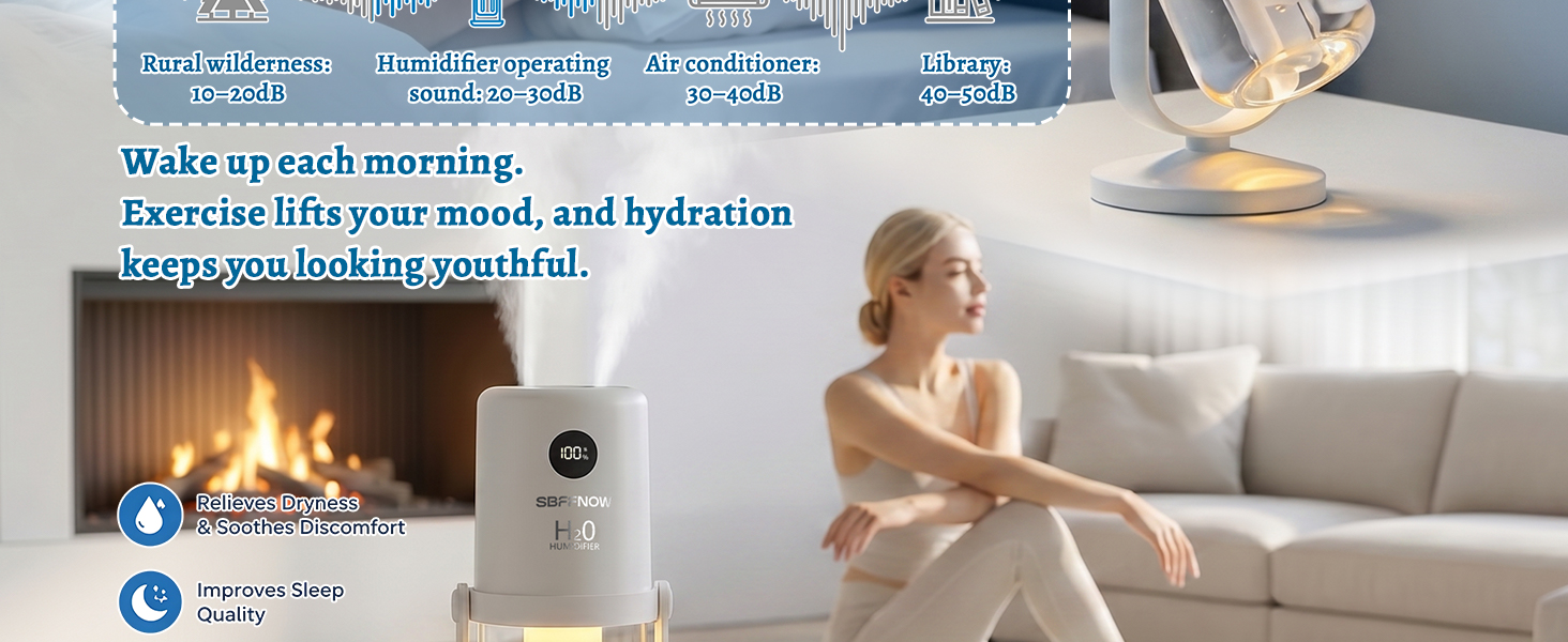 Dual Mist Portable Humidifier