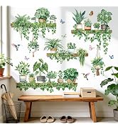 decalmile Green Pot Plants Wall Stickers Tropical Leaf Hanging Vines Leaves Bird Wall Decals Livi...
