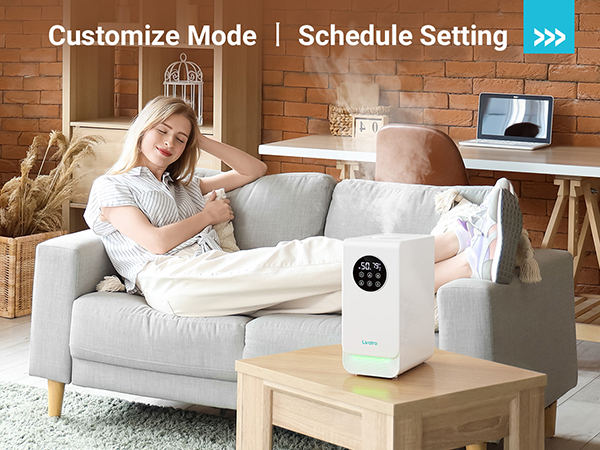 Customize Mode