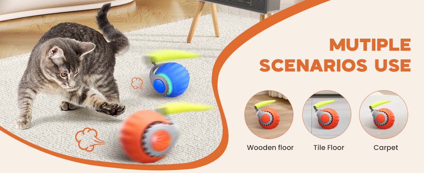 cat toy ball