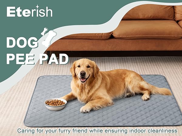 dog pee pad