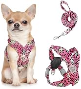Pawaboo Small Dog Harness and Leash Set, Puppy Harness X-Frame No Pull No Choke, Dog Vest Harness...