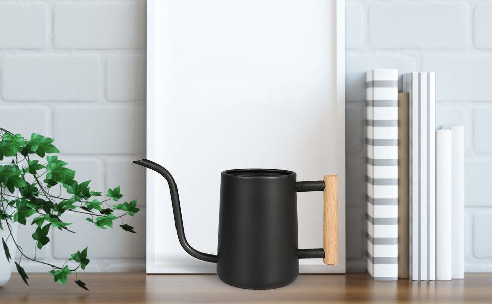 WATERING CAN INDOOR PLANT
