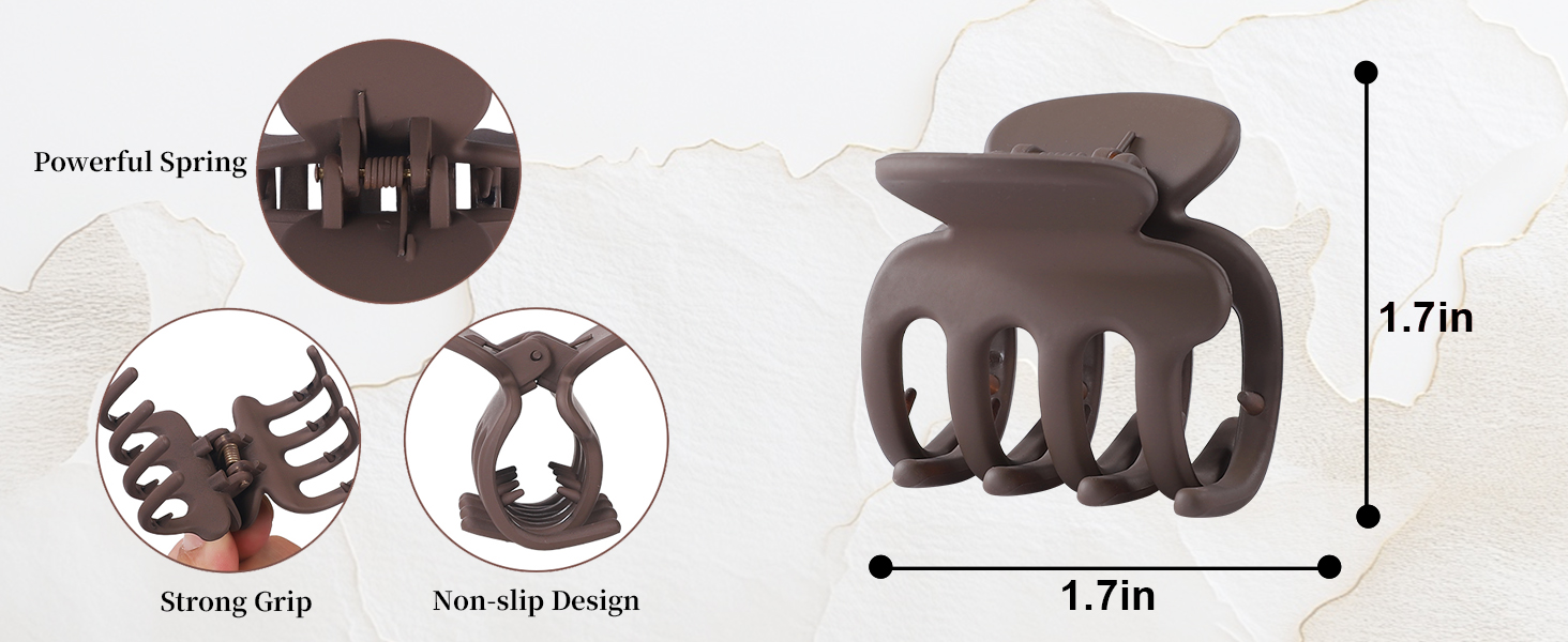 Small Claw Clips