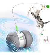 Oxawo Cat Toys Interactive with Strong Power Fast Rolling on Rug, Motion Activated Cat Toys Robot...