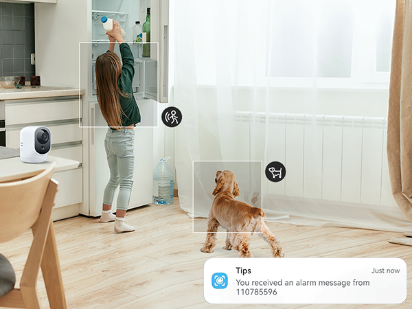 Home security camera view showing interior room with wooden flooring, white walls, and a notification overlay indicating message receipt.