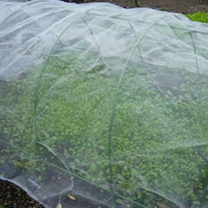 Keep your vegetables, fruits, crops from harm of insect, pests, squirrel, birds