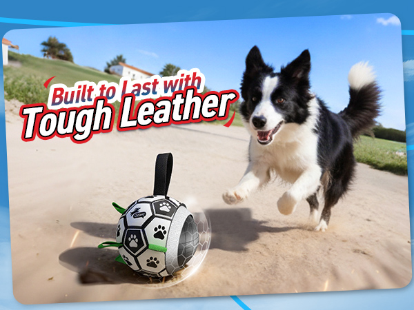 durable dog soccer toys