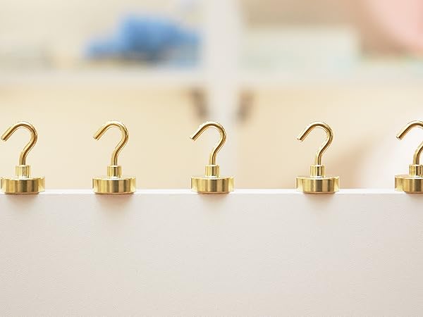 Neosmuk Magneic Hooks Gold