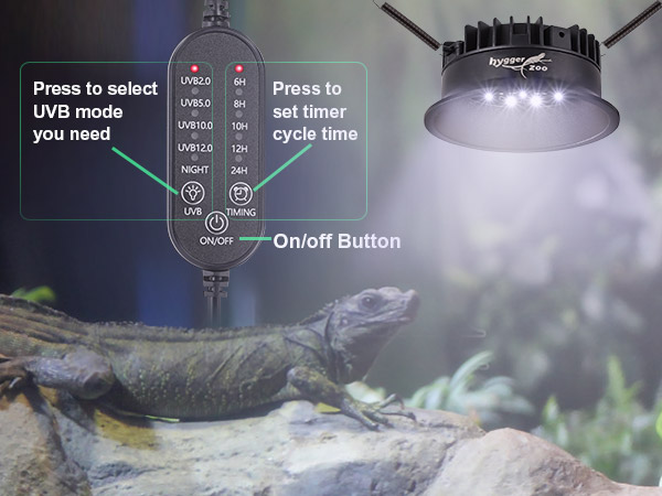 reptile uvb light bar