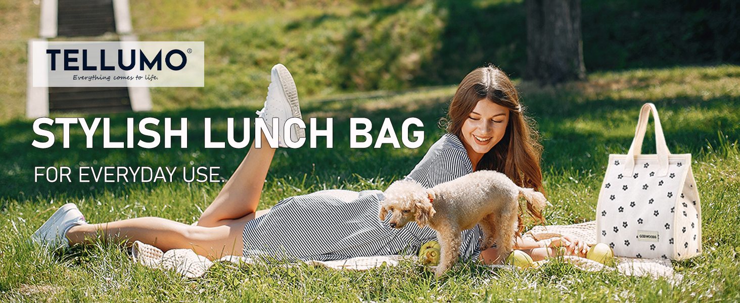TELLUMO STYLISH LUNCH BAG