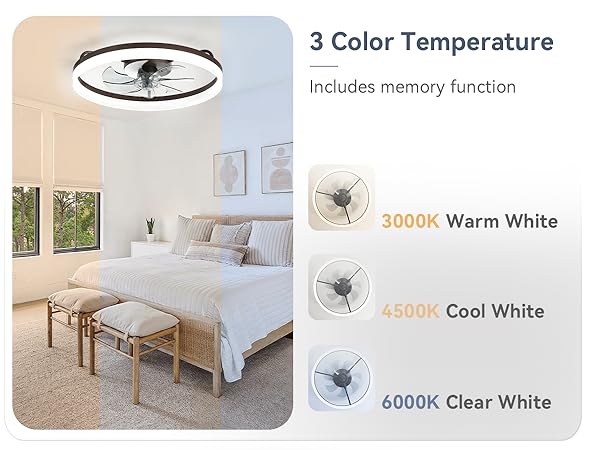 ceiling fan