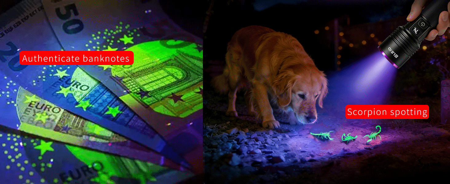 uv light flashlight for Currency authentication