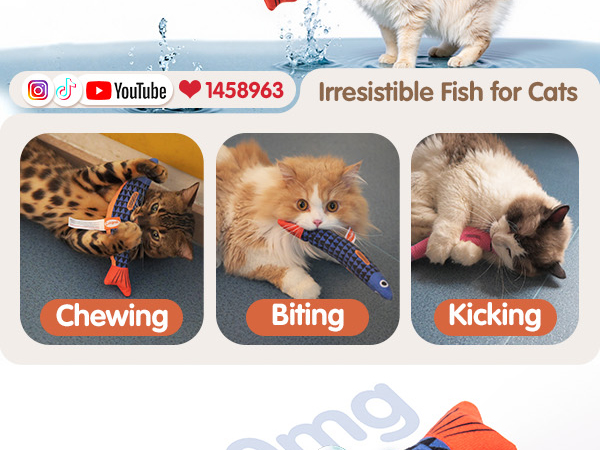 kitten toys