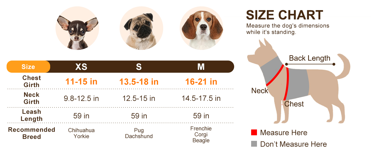 harness small size dogs