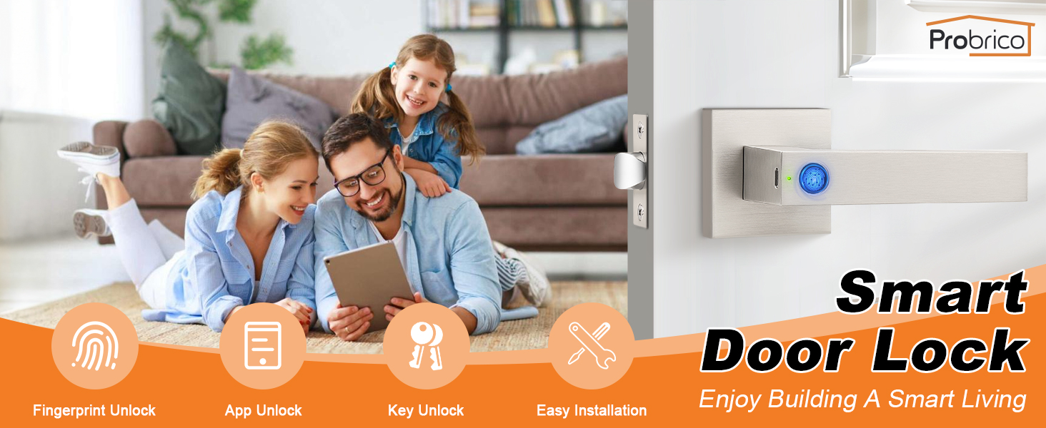 satin nickel smart door handle