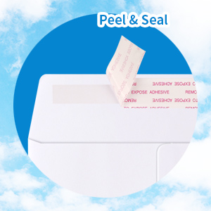 Envelopes Self Seal
