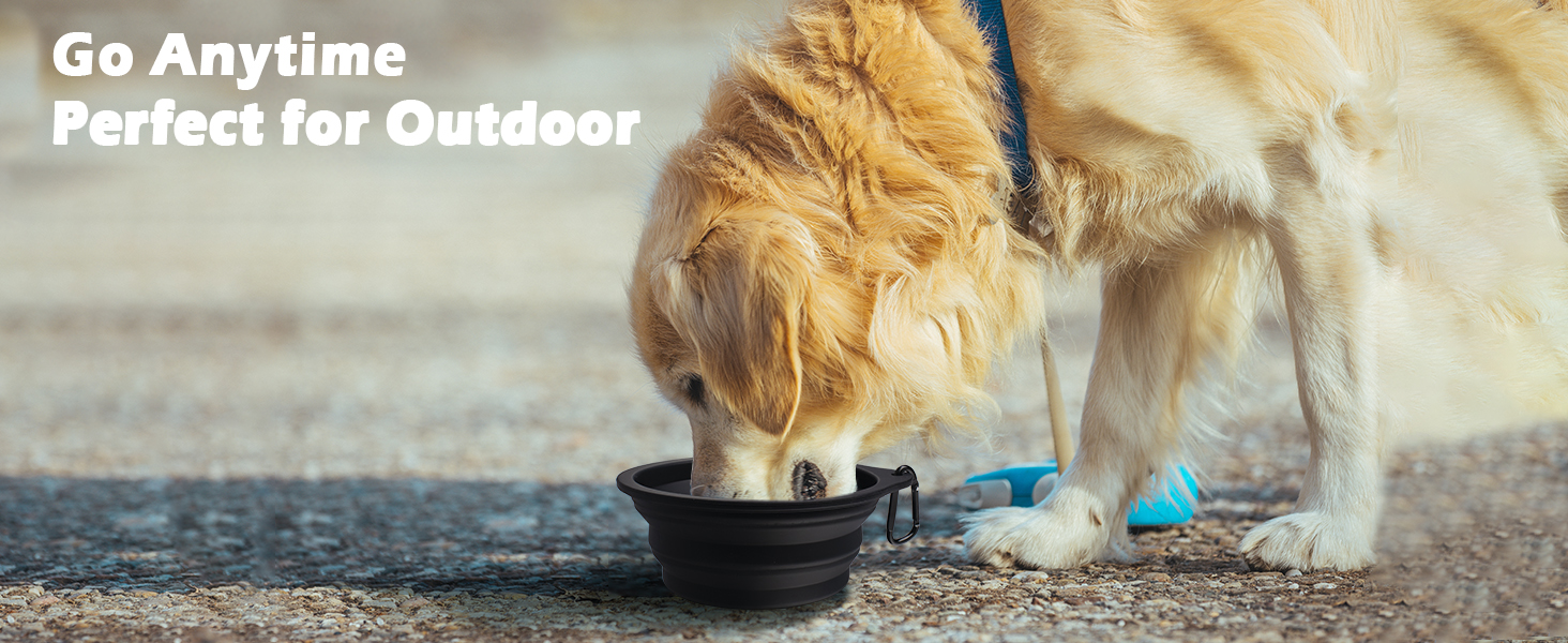 collapsible dog bowls for travel