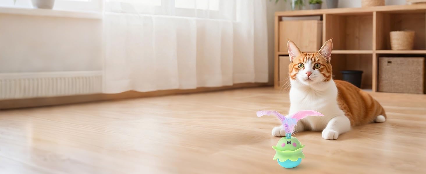 cat toys
