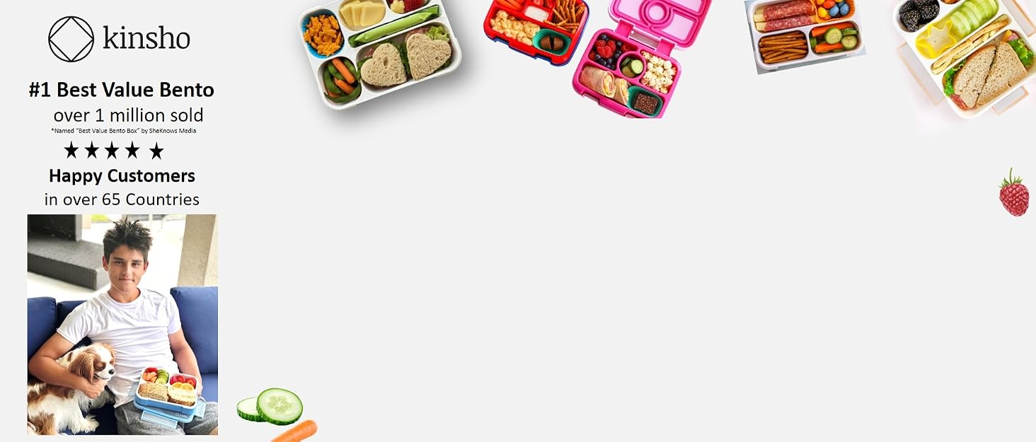 bento lunch box kinsho