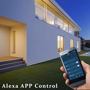 alexa app control