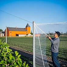 Chicken Coop Netting