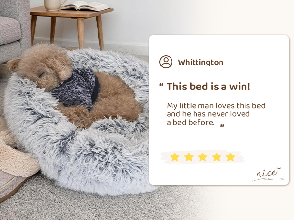 dog beds