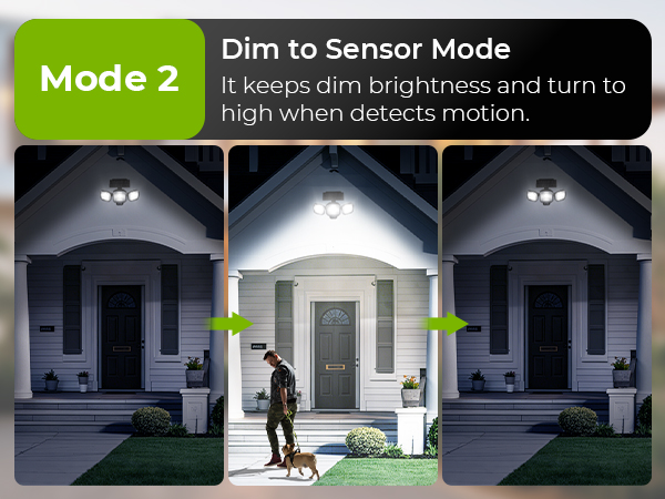 solar motion sensor light