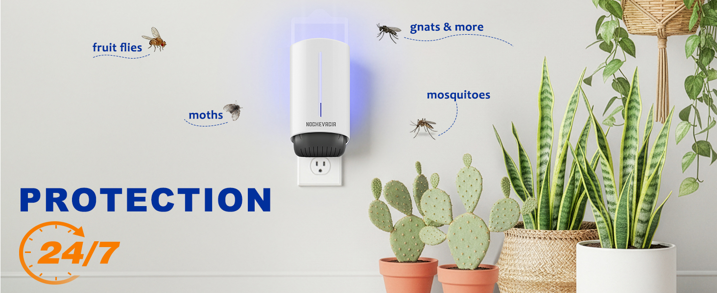moths trap
