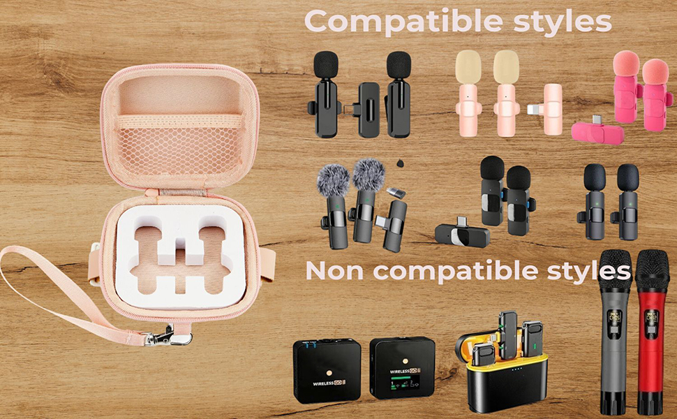 microphone case