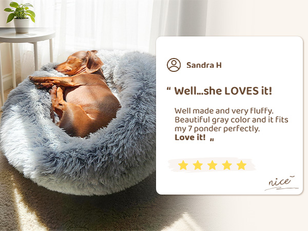 dog beds
