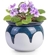 BUYMAX African Violet Pots, 6 inch Ceramic Easy Self Watering Plant Pot for Busy Plant Lovers, Au...